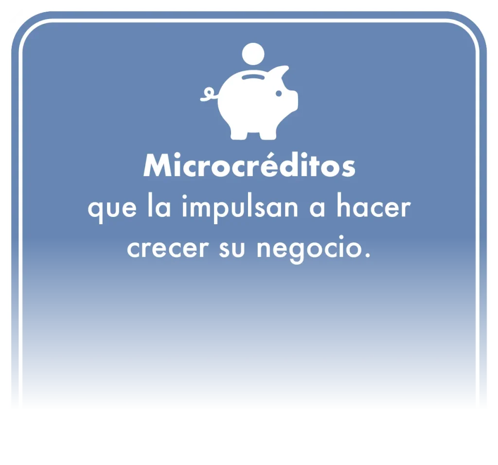 Sección: Microcréditos: que la impulsan a hacer crecer su negocio.